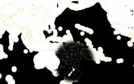 robin-coenen informationdesign