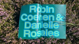 robin-coenen informationdesign
